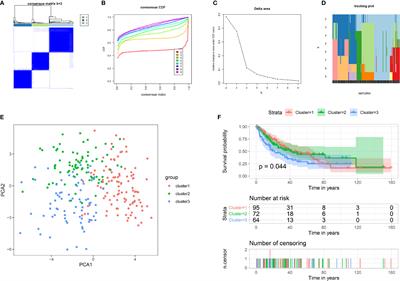 Identification of Iron Metabolism-Related Gene Signatures for Predicting the Prognosis of Patients With Sarcomas